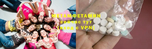 индика Елизово