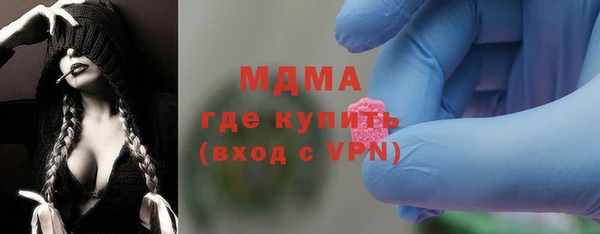 индика Елизово