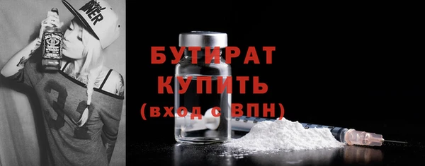 индика Елизово