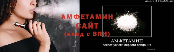 индика Елизово