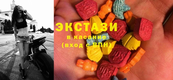 индика Елизово