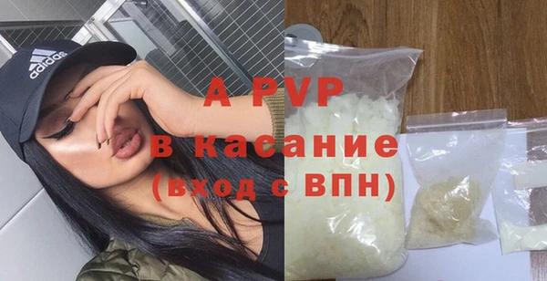 индика Заволжье