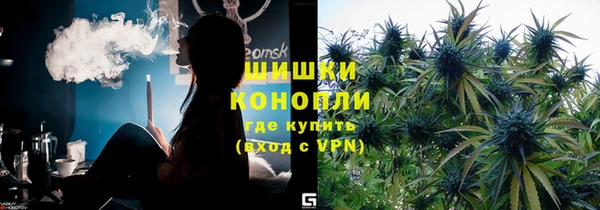 индика Елизово