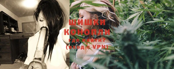 индика Елизово