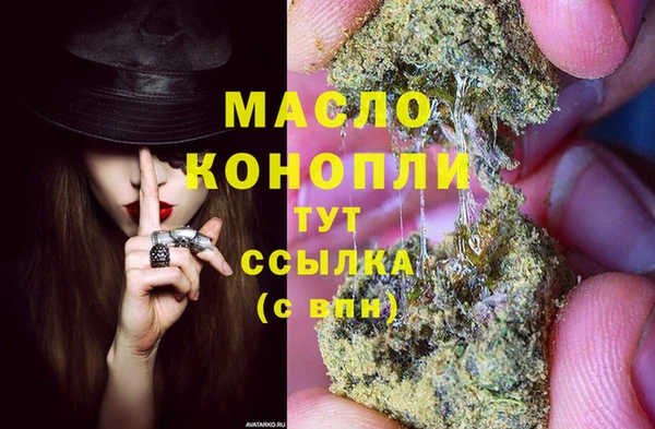 индика Елизово