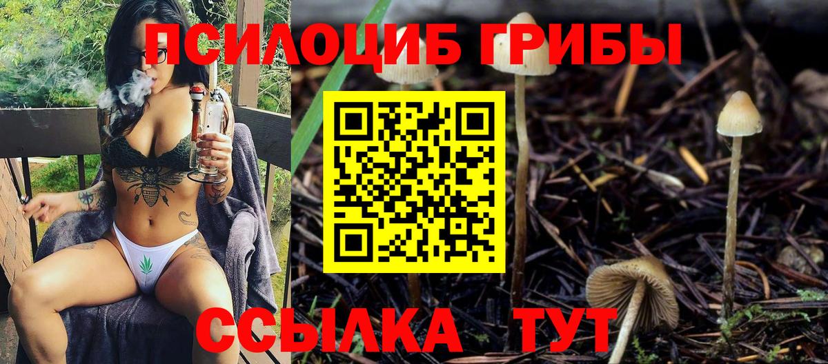 Псилоцибиновые грибы мицелий Слободской