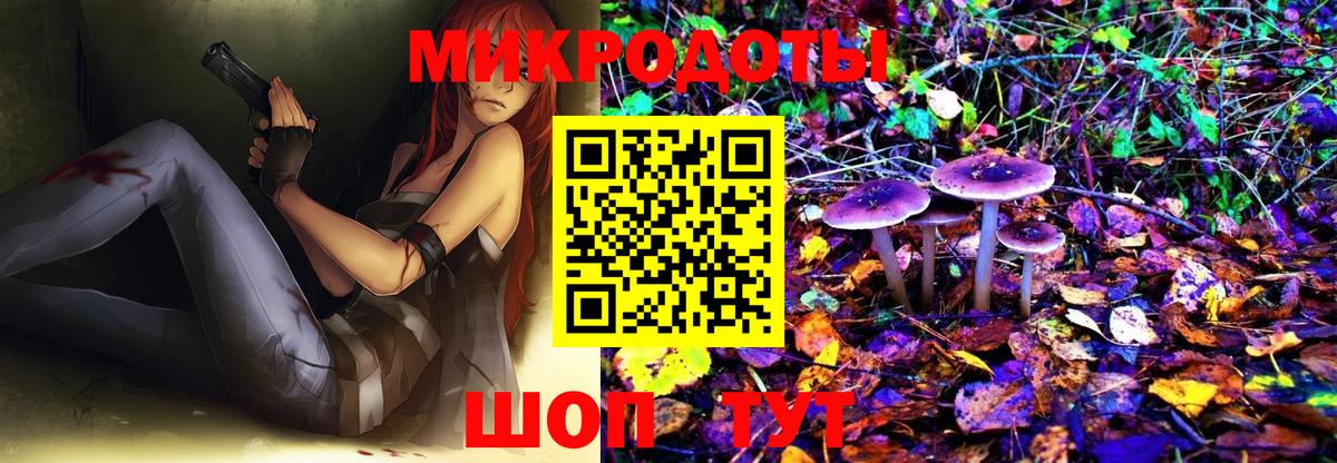 Слободской  Псилоцибиновые грибы MAGIC MUSHROOMS  Вход с VPN 