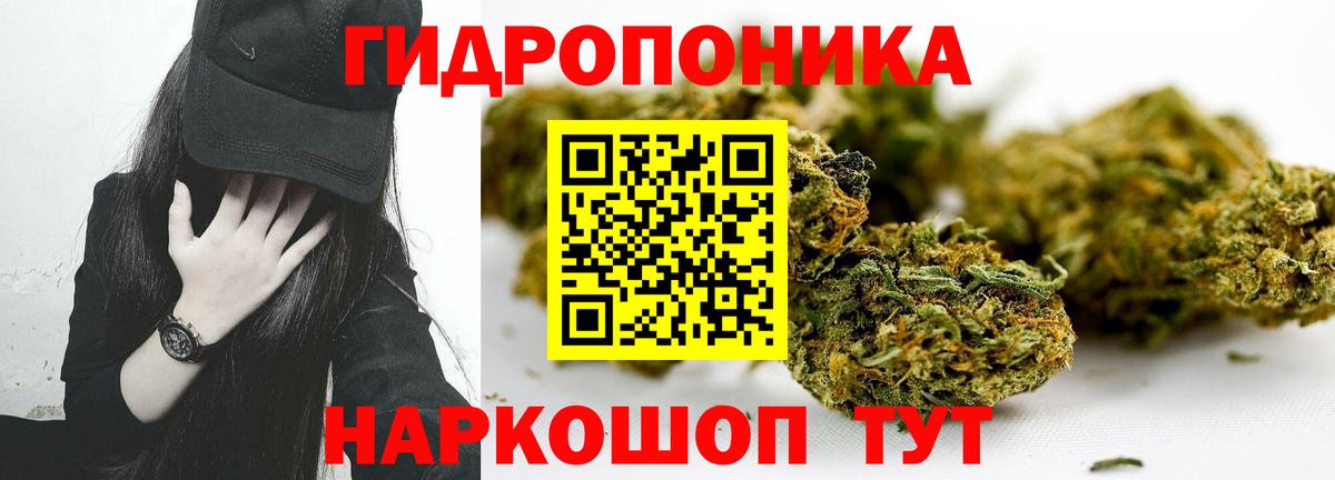 Бошки марихуана ГИДРОПОН  МАРИХУАНА THC 21%  Бошки марихуана MAZAR  Слободской  Вход с VPN  Бошки Шишки ГИДРОПОН 